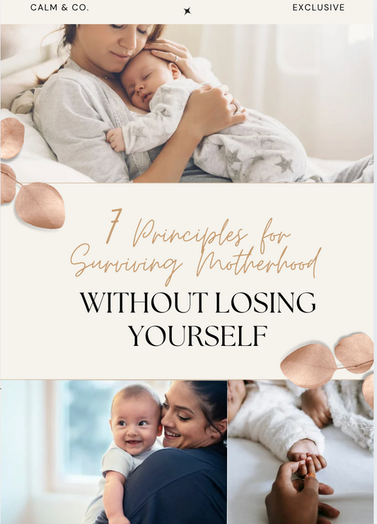 7 Principles for Surviving Motherhood eBook